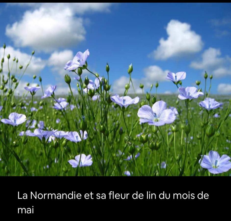 Appartement Veules Roses , La Cressonniere: « Veules & Victor «  Exteriér fotografie